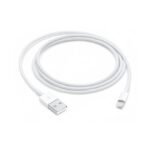 Apple Original USB to Lightning Cable(1m)