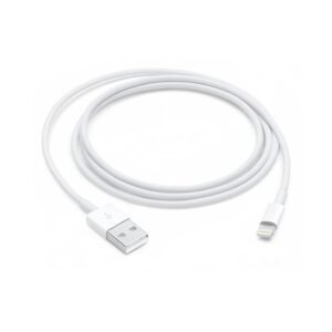 Apple Original USB to Lightning Cable(1m)